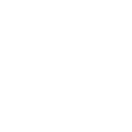 Rapid aid 50 logo innovation new white v2